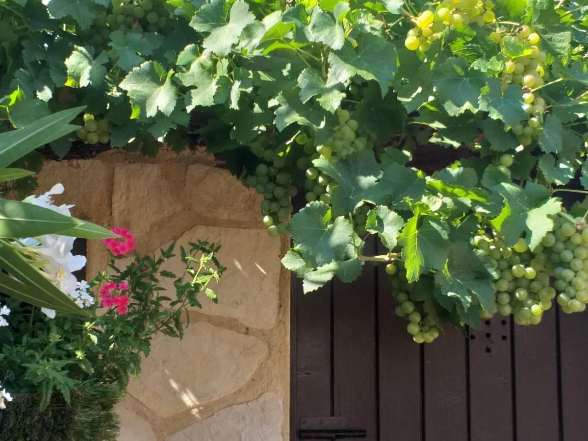 Lou Bagnou Mi-Clos Bagnols-sur-Ceze Luaran gambar